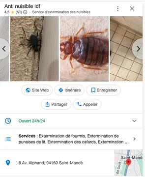 Fiche Google Business HYGIENE CS3D — Anti nuisible IDF